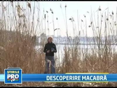 Descoperire macabra! Trupul unei femei, gasit in lacul Fundeni din Capitala