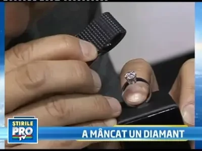 Caine "pretios"! A inghitit un diamant de 20.000 de dolari