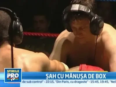 Pumni si inteligenta la un loc: sah-boxul castiga tot mai multi adepti!