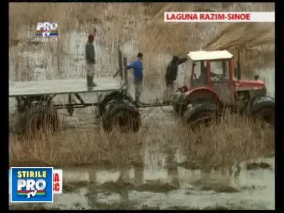 Romania, te iubesc: Taietorii de stuf, saraci intr-o afacere de milioane