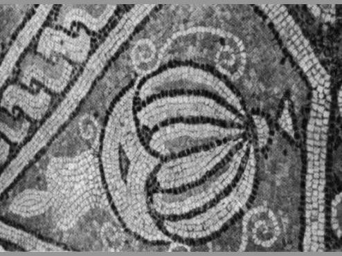 Vechea cetate a Tomisului o ia la vale, impreuna cu copacii!