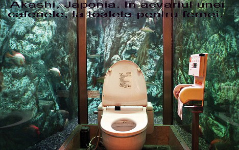 Primar: "Eu o sa beau primul pahar." Un oras din Texas le distribuie locuitorilor, la robinet, apa provenita din toaleta