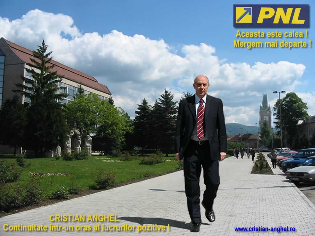 Primarul din Baia Mare, eliberat pentru 30 de zile