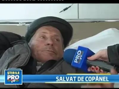 Incredibil, dar este adevarat: o pulpa de pui i-a salvat degetul taiat!