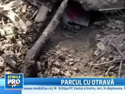 Scandal in Constanta! Otrava pentru sobolani, pusa in locuri nepermise