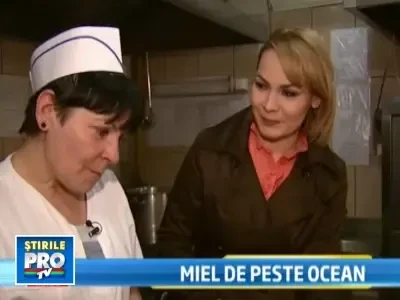 Mielul romanesc mai sanatos decat cel din Australia sau Noua Zeelanda