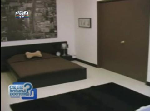 Hoteluri de 5 stele si limuzine la scara pentru caini!