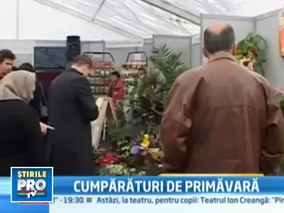 Oferta inedita! Proiectare 3D pentru gradina de vis