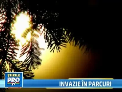 Dupa sase luni de frig, romanii au cucerit parcurile pe o vreme superba