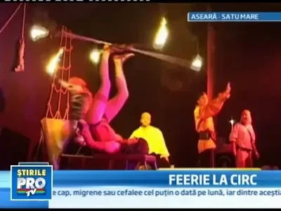 Crocodili, pinguini, foci si hipopotami la Satu Mare. Circ sa fie!