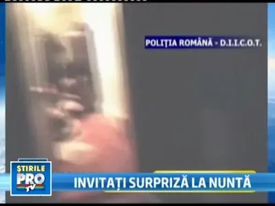 De la procurori pentru nuntasi: descinderi fara numar si 11 mandate!