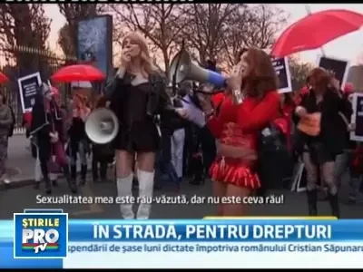 O suta de persoane au manifestat la Paris pentru drepturile prostituatelor