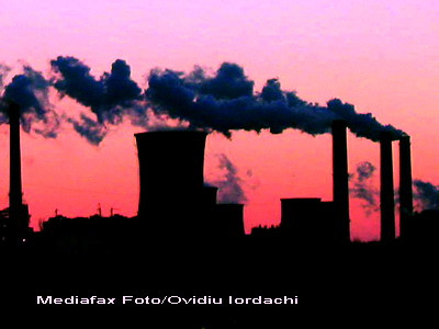 Previziuni ingrijoratoare pentru urmatorii 90 de ani. 10% din speciile de pe Terra vor disparea