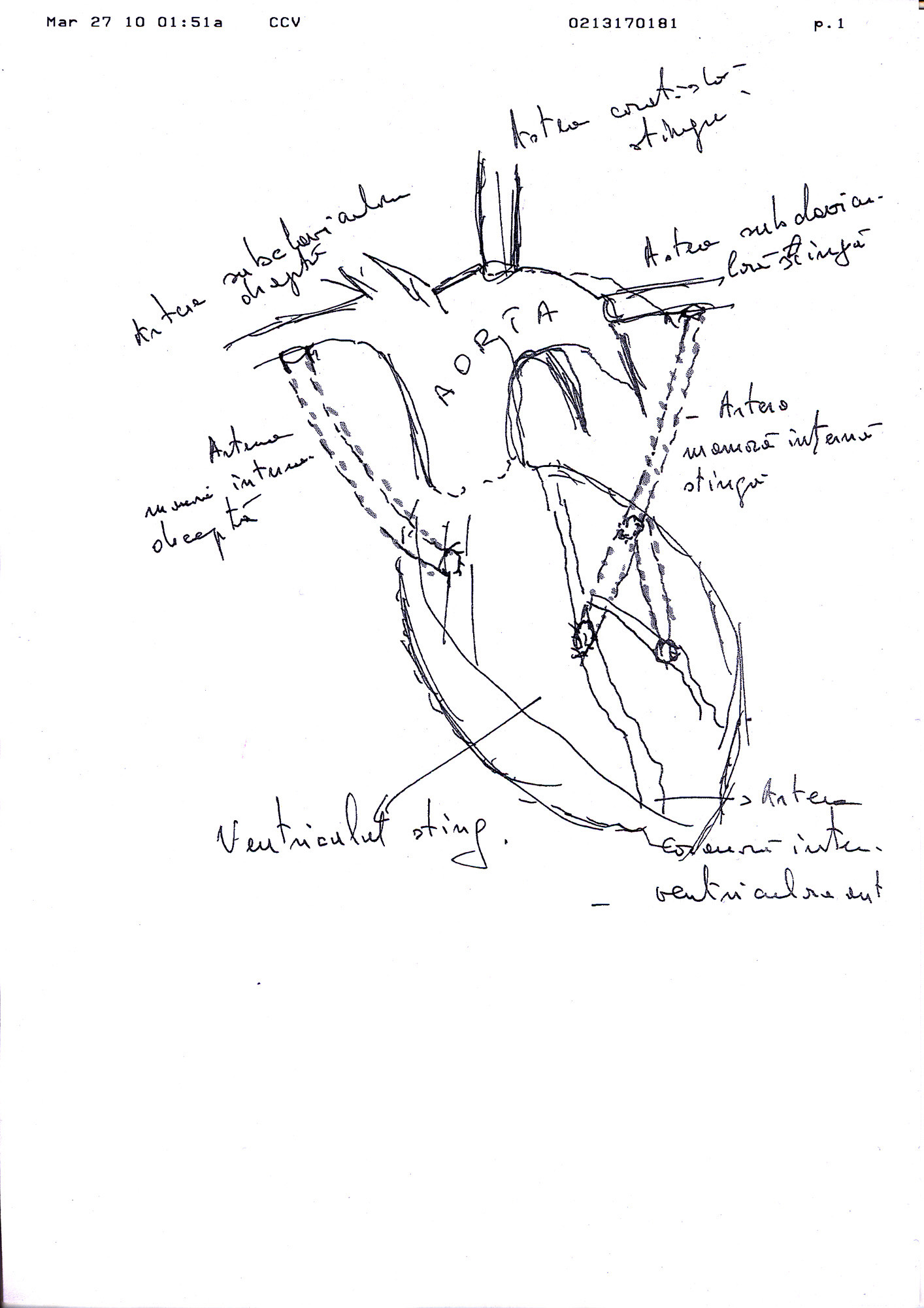 Operatie Nicolae Vacaroiu