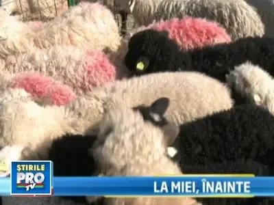 "La miei inainte!", cu doar cateva zile pana la Paste