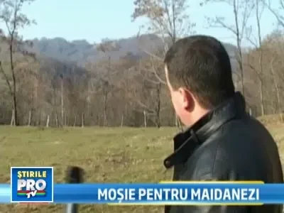 Monica Davidescu pune la bataie 7 hectare de teren la munte pentru un padoc