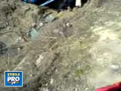 Un TIR s-a rasturnat de pe sosea dupa ce soferul a fost intepat de o albina