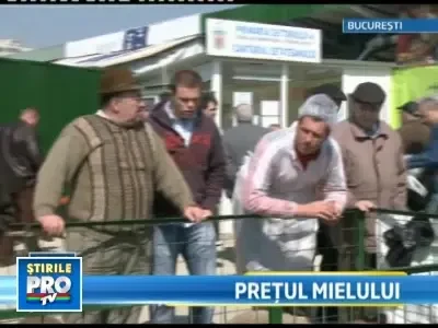 Nu platiti din prima mielul la piata, negociati!