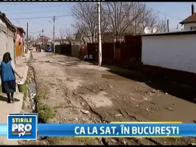 Bucuresti, capitala europeana: mlastini in loc de asfalt si cratere