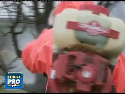 Paradoxal: lipsa subventiilor ne face legumele si fructele mai sanatoase