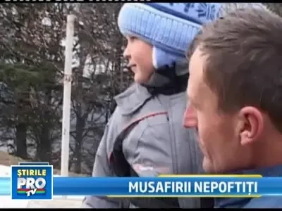 O ursoaica si trei pui au iesit la local, in Sinaia