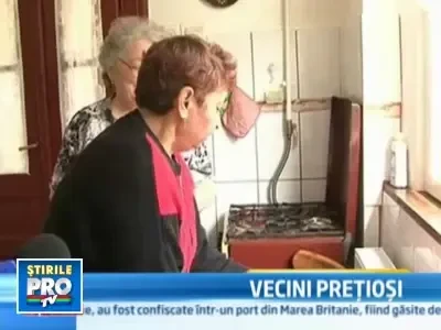 Cum scapi de corvoada curateniei si gatitului: "Fratia Gospodinelor"