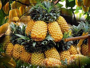 Mancati ananas: va ajuta sa aveti o digestie sanatoasa!