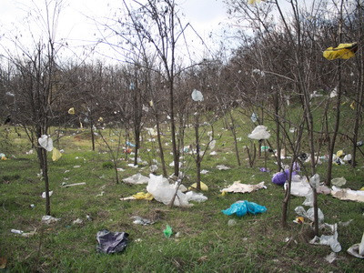 Ambalaje,sticle de suc sau mititei.Le gasim acum abandonate in locurile unde ieri gratarele sfaraiau