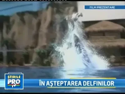 Delfinariul din Constanta va avea trei noi locatari