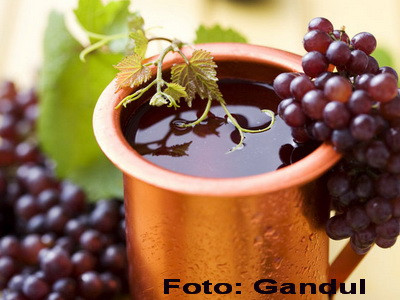 Comoara Olteniei - Zaibarul