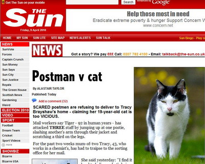 Pisica "diabolica"! A bagat spaima in postasii din cartier