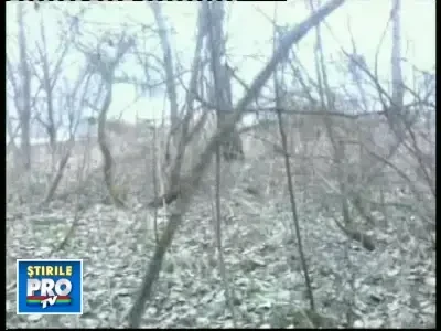 Tragedie aviatica in Rusia! Liderii Poloniei, morti!