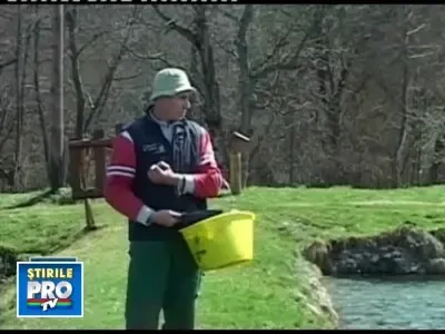 Pastravariile, mine de aur pentru romani, in vremuri de criza!