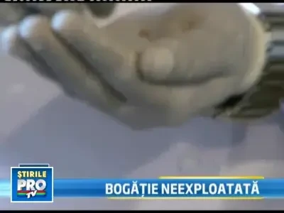 Romania a ramas si fara condimentele atat de laudate de straini