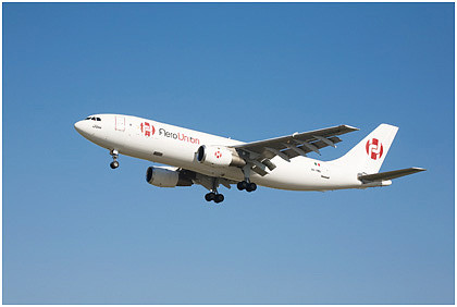 Cinci oameni au murit dupa ce aeronava in care se aflau s-a rupt in bucati