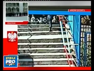 Copil de 6 ani, sfasiat de leu la gradina zoologica din Brasov