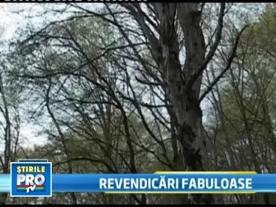 Mostenitorii a doi latifundiari maghiari cer inapoi 2 munti romanesti!