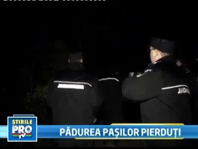 S-a ratacit in padure! Au gasit-o catarata intr-un copac, de frica ursilor