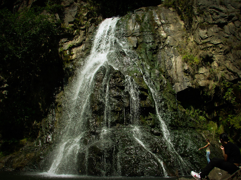 "Parintii Mioritei" din Manastirea Casin si-au "tras" net wi-fi