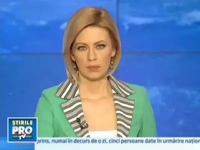 El este Meatball, cel mai frumos buldog dintr-un oras american!