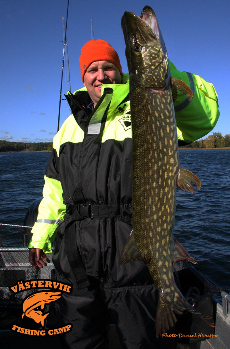Romanii cuceresc Paradisul Stiucilor: Vastervik, Suedia