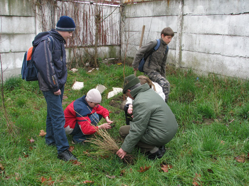 Pentru o Planeta mai verde: elevii din Buftea au plantat copaci!