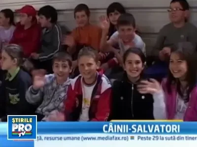 Ieri erau maidanezi, astazi sunt catei salvatori!