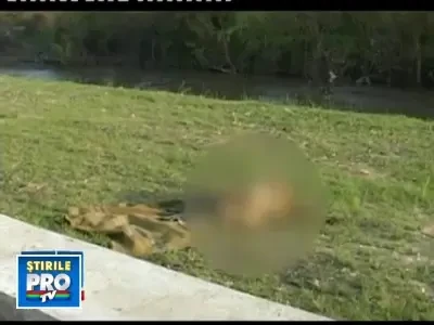 Batrana din Timis data disparuta in ianuarie, gasita moarta in raul Bega