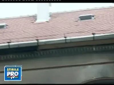 Primaria Lugoj, pericol public: cad bucati de tencuiala din ea!