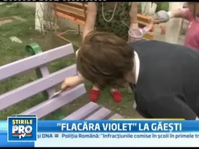 Violet, culoarea care scoate romanul din criza! Acum, pe toate gardurile