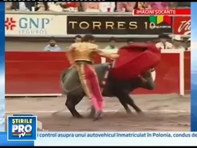 IMAGINI SOCANTE! Toreador, in stare grava dupa ce a fost impuns de un taur