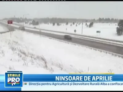 Cadou de primavara! Ninsori abundente in Colorado!