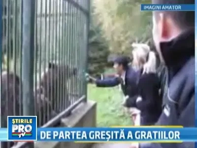 Teribilism stupid la Zoo: I-au dat bere unui urs