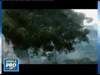 Box-office-ul nord-american dominat de un film de animatie 3D